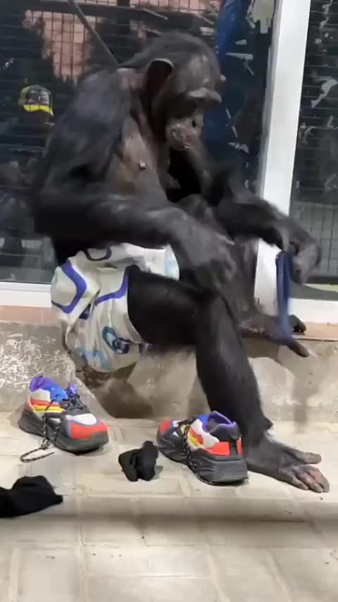 Udah bisa pake kaos kaki sendiri