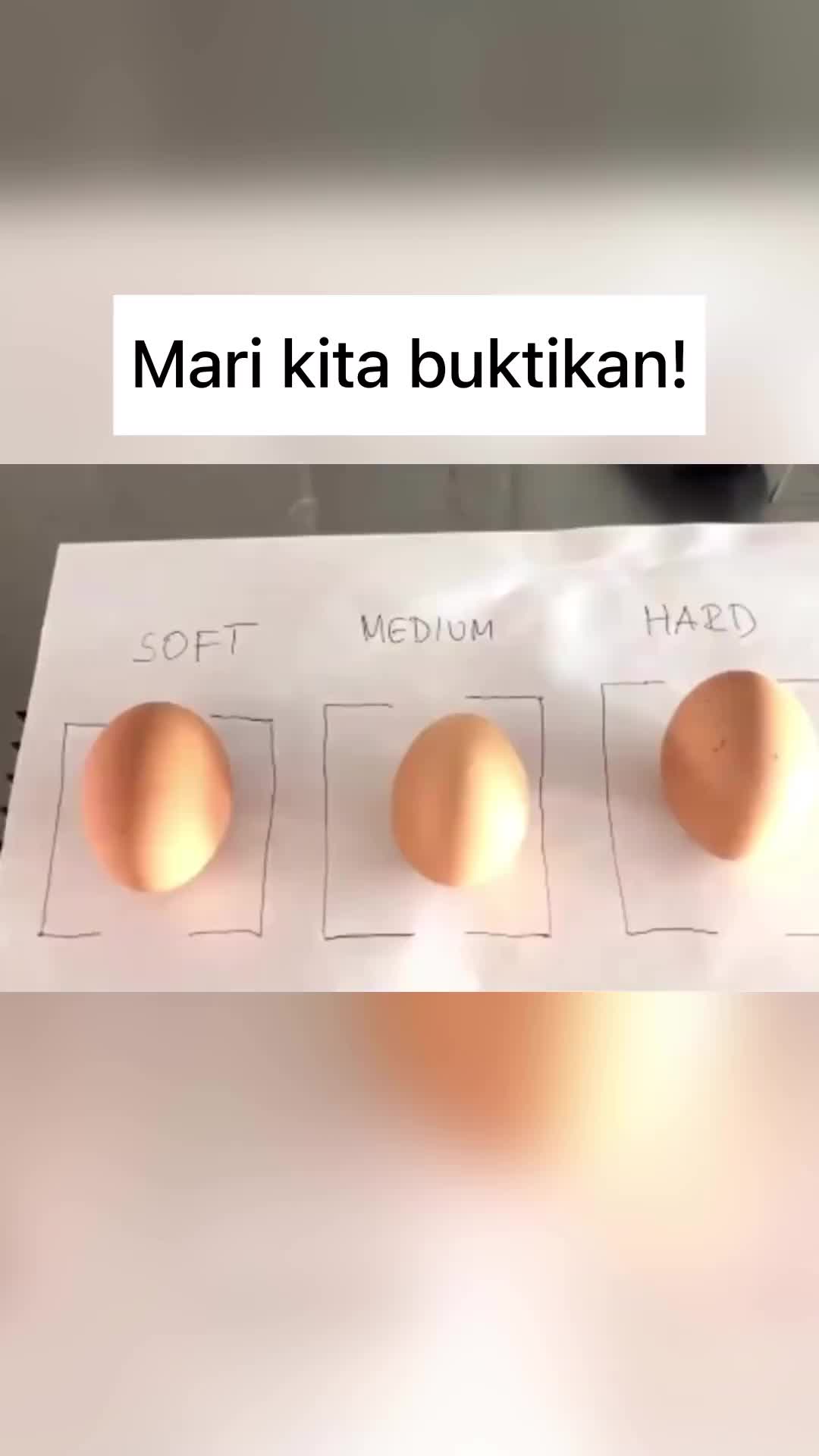Alat mengukur tingkat kematvangan telur