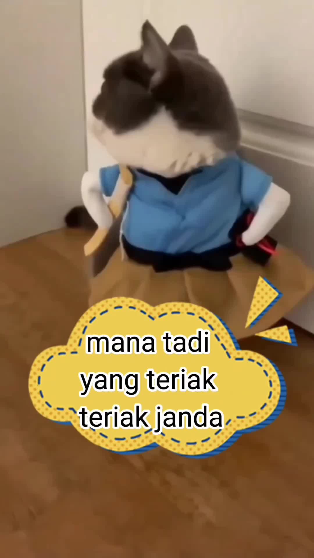 janda selalu menggoda