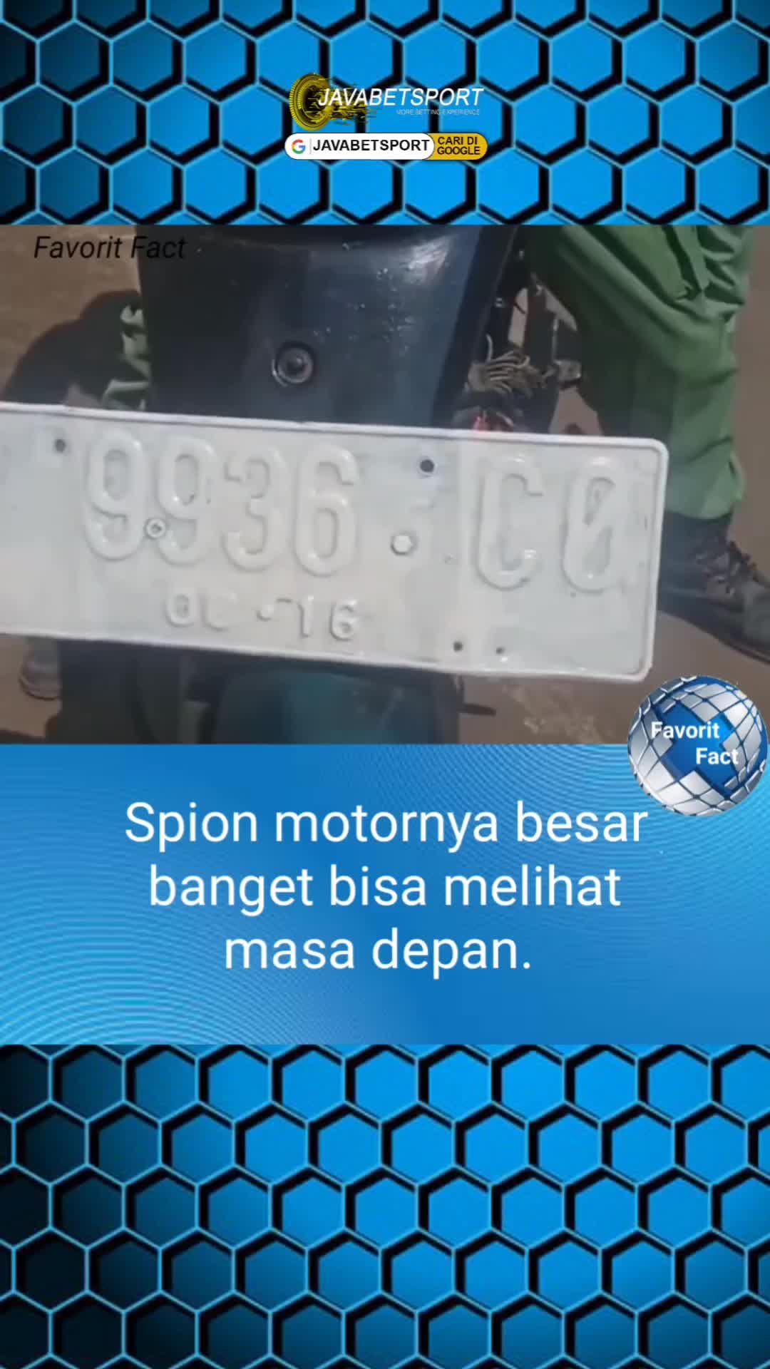 spion geda