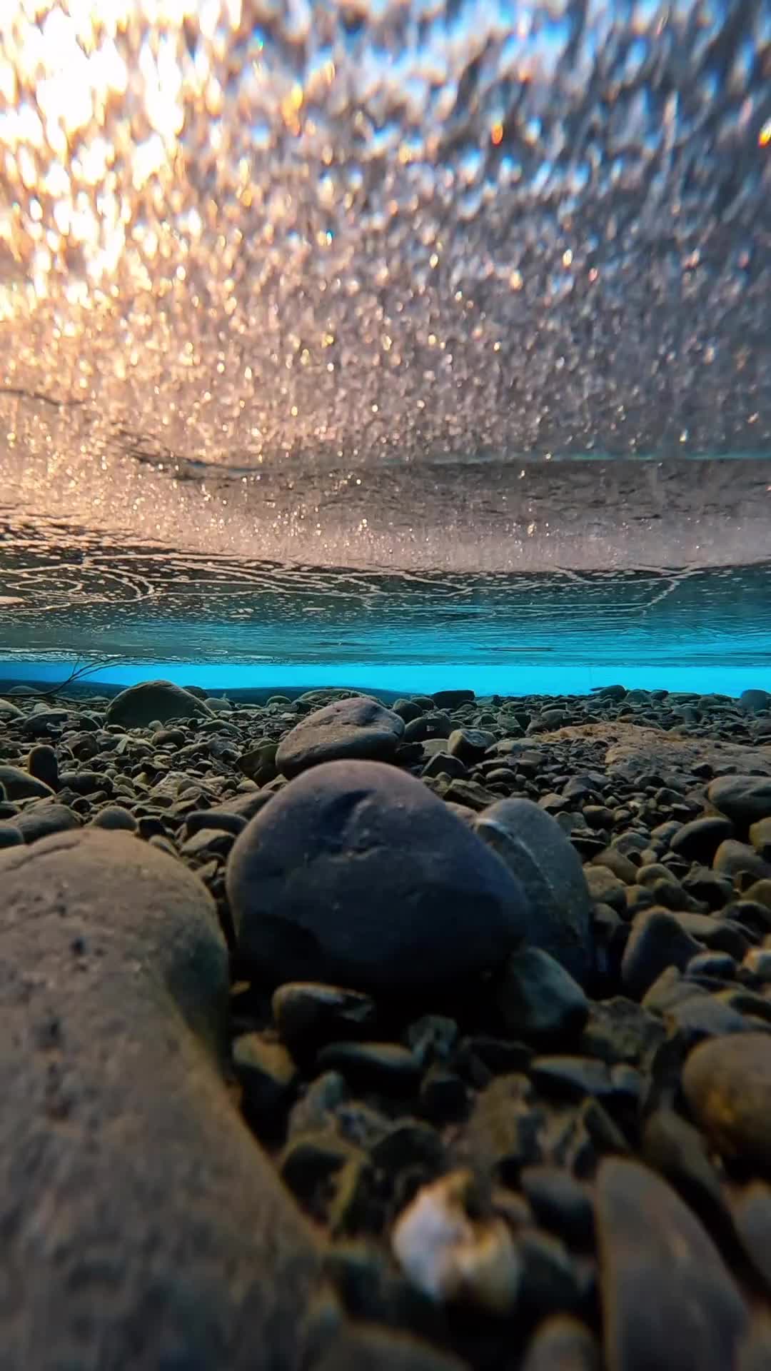 underwater video