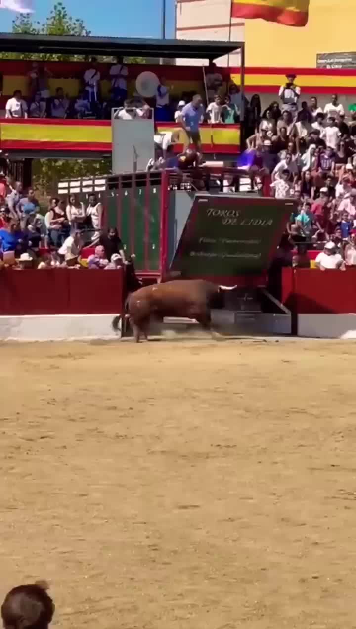 wah ngeri si