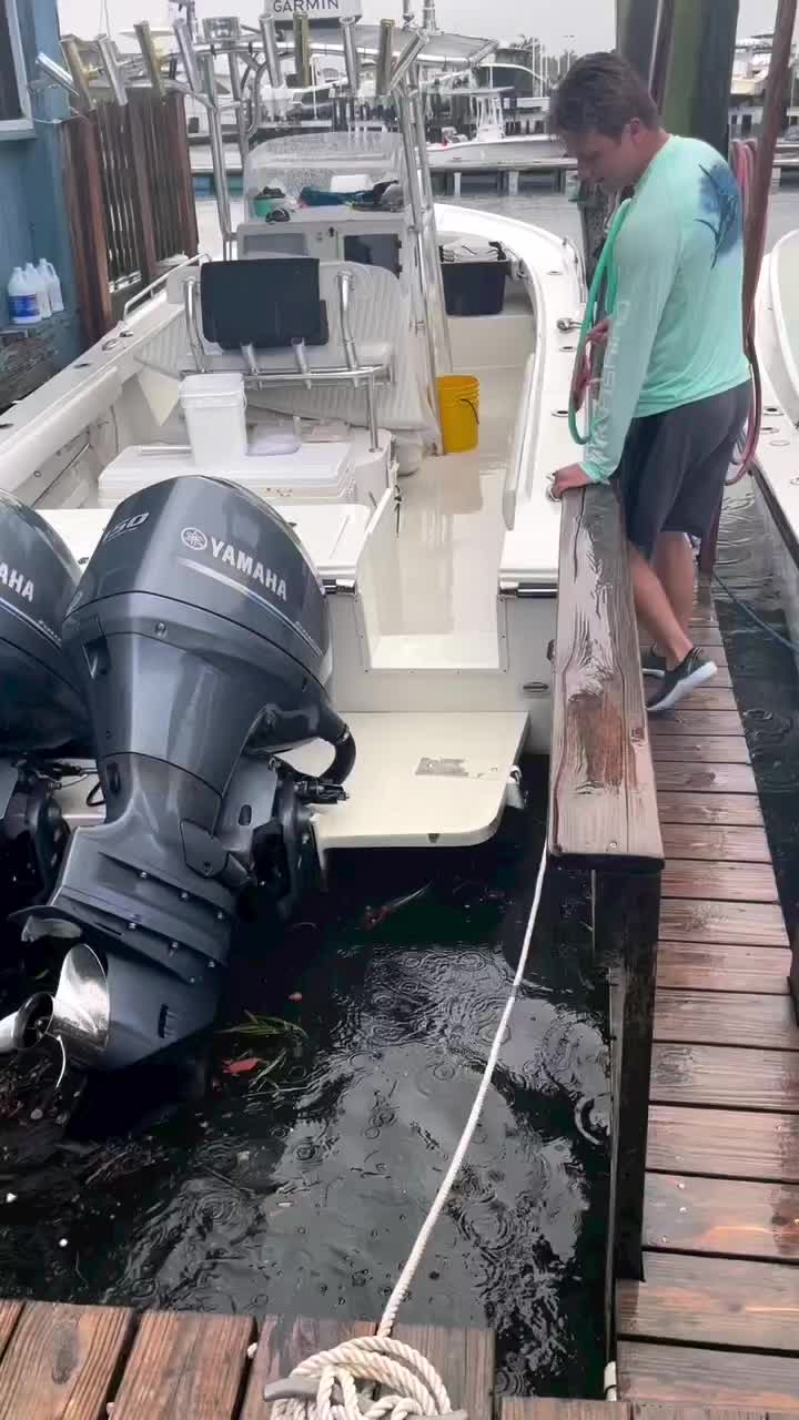 woghh ikan apa itu?