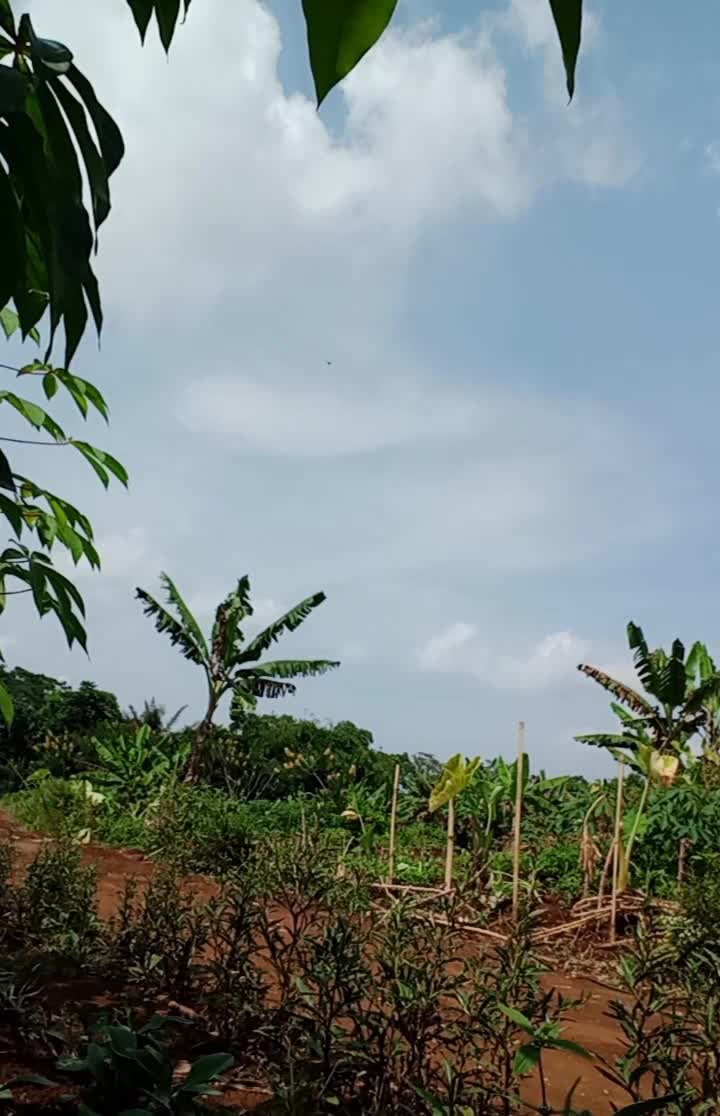 #solo riding ke luar kota#vlogging