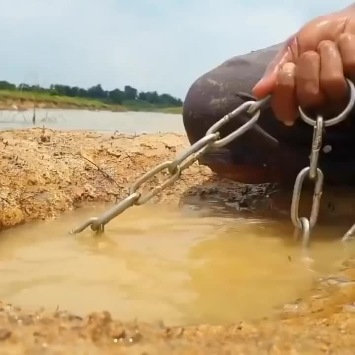 wah mancing apa nih, umpannya ayam seekor
