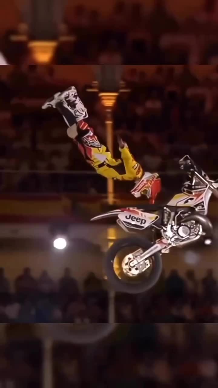 flying without wings