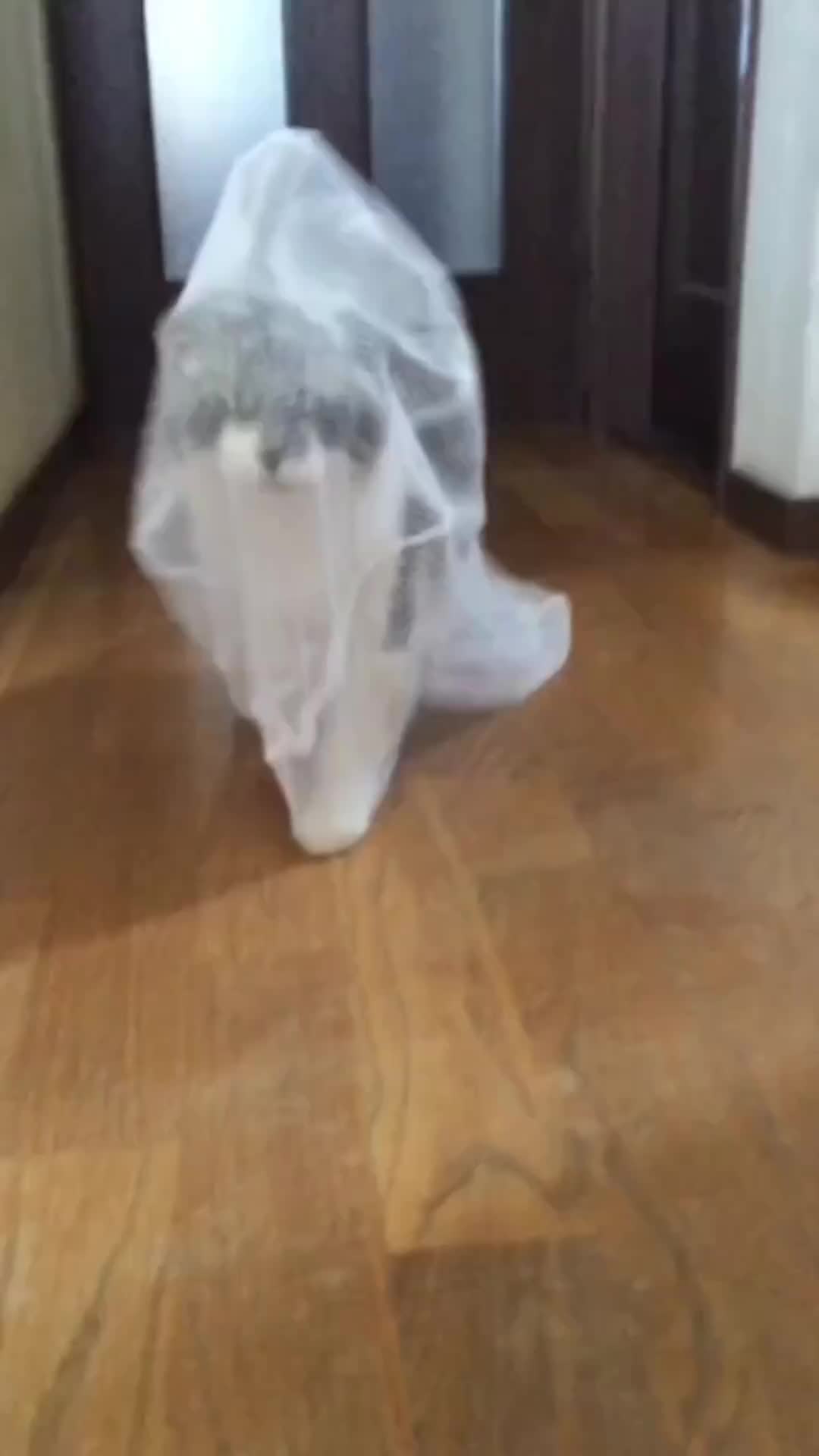 Jalannya kaya anak paskibra hahha