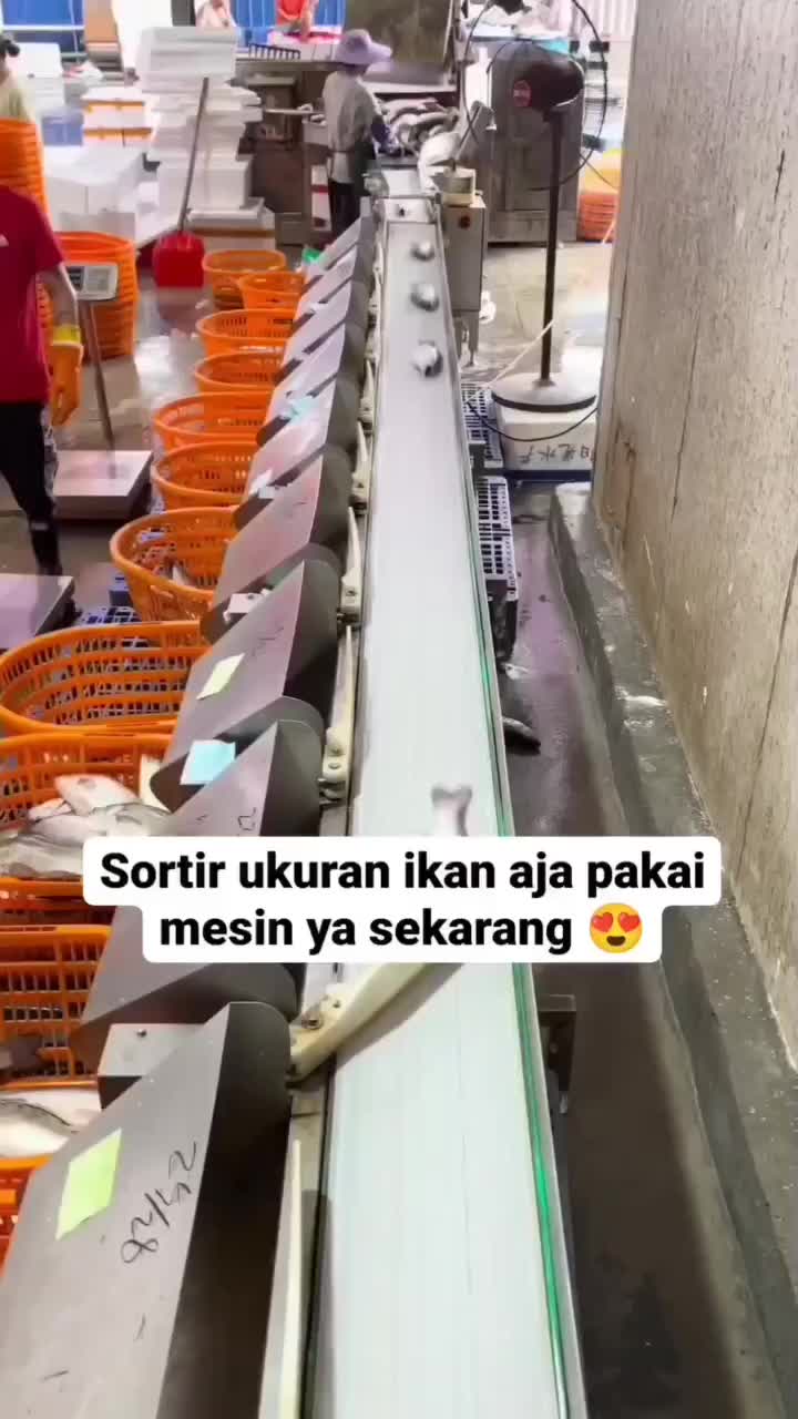 Makin Canggih Aja Alat Sortir Ikan