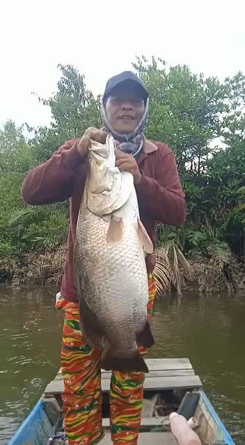 mancing mantap