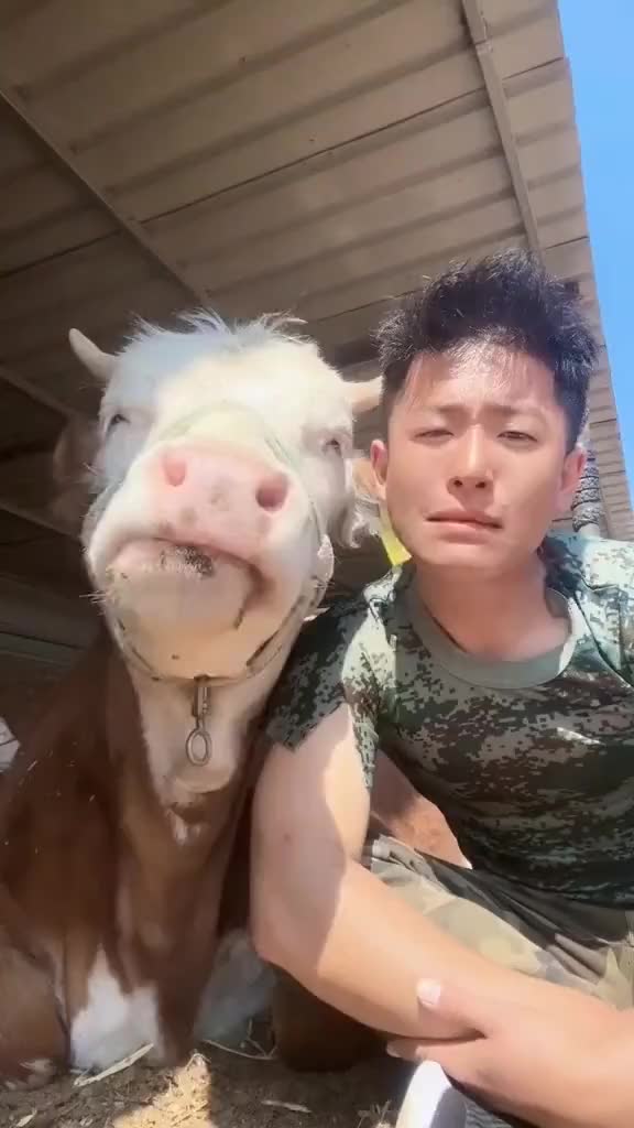 Kompak Banget