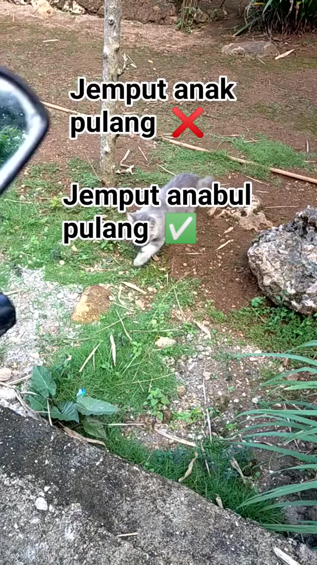 jemput anabul pulang