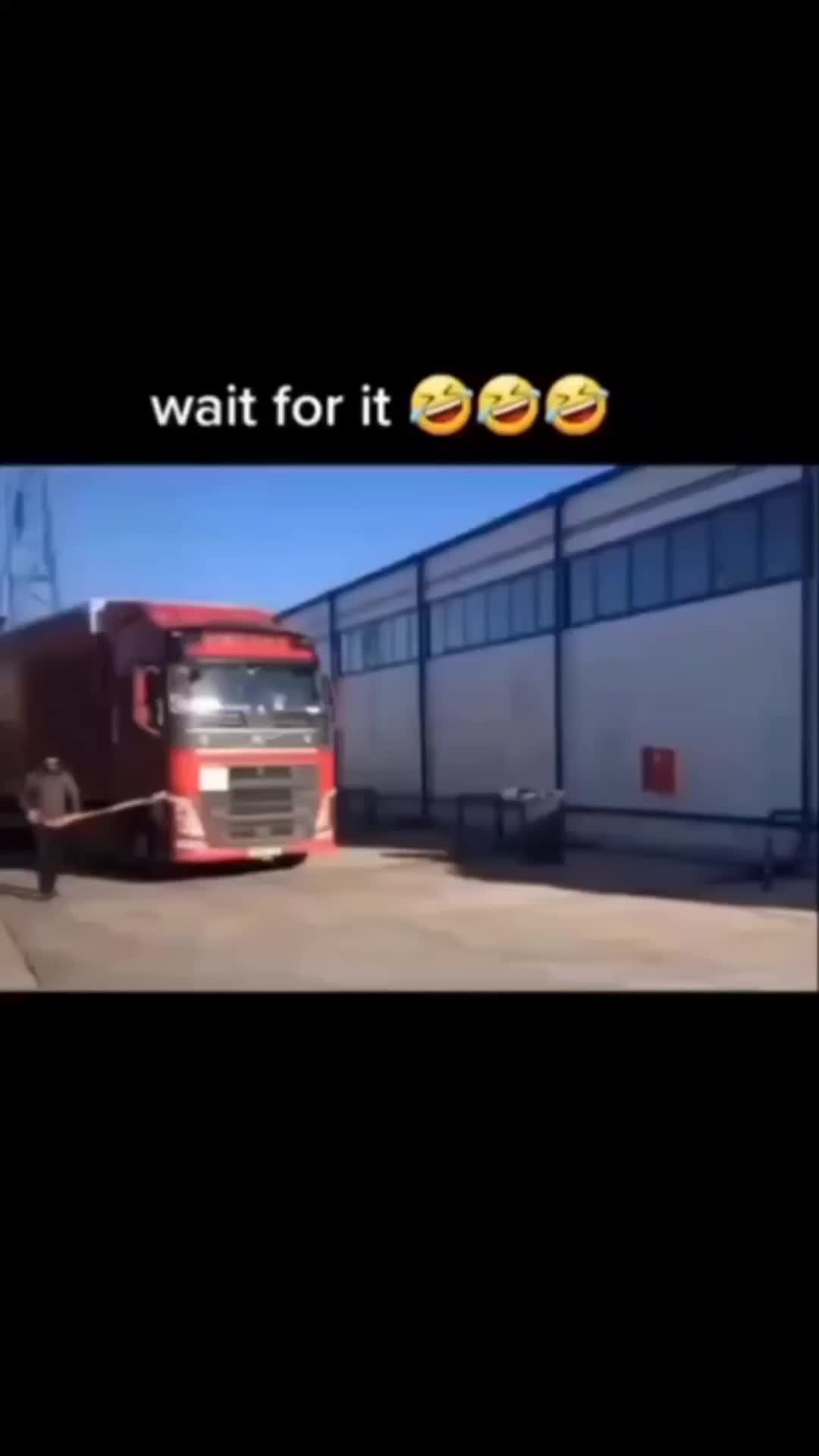 lagi ajak jalan peliharaan