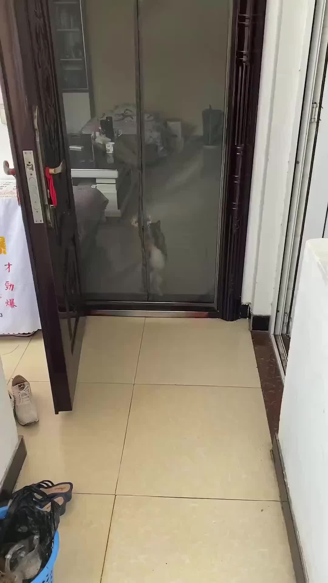 Cara membuka tirai magnet