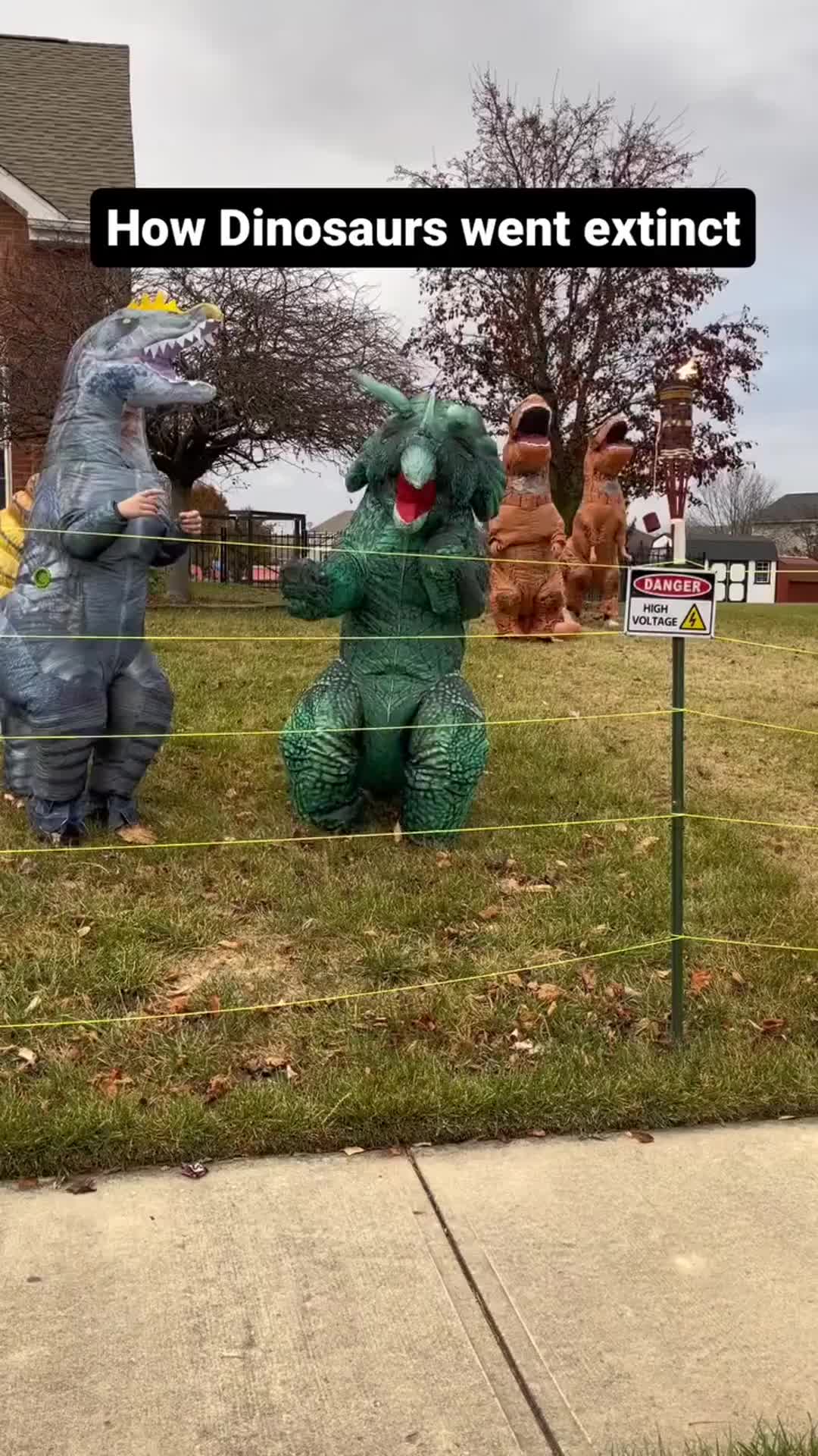 ini kenapa dinosaurus punah