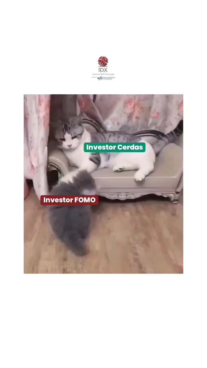 Dari pada minta rekomendasi, mending diajarin cara investasi yang benar ygy.
