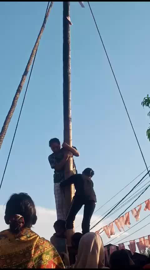 lomba panjat pinang