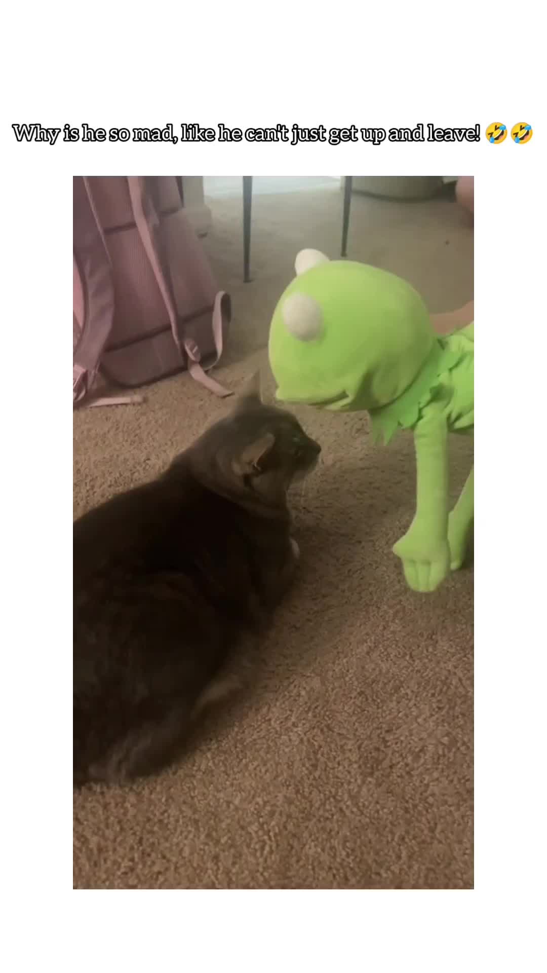 Leave me alone