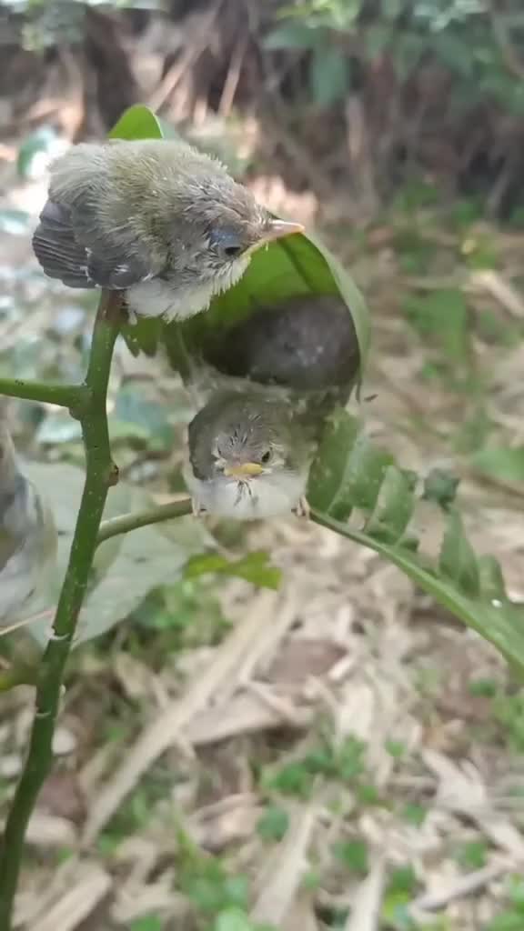 Waktunya sarapan