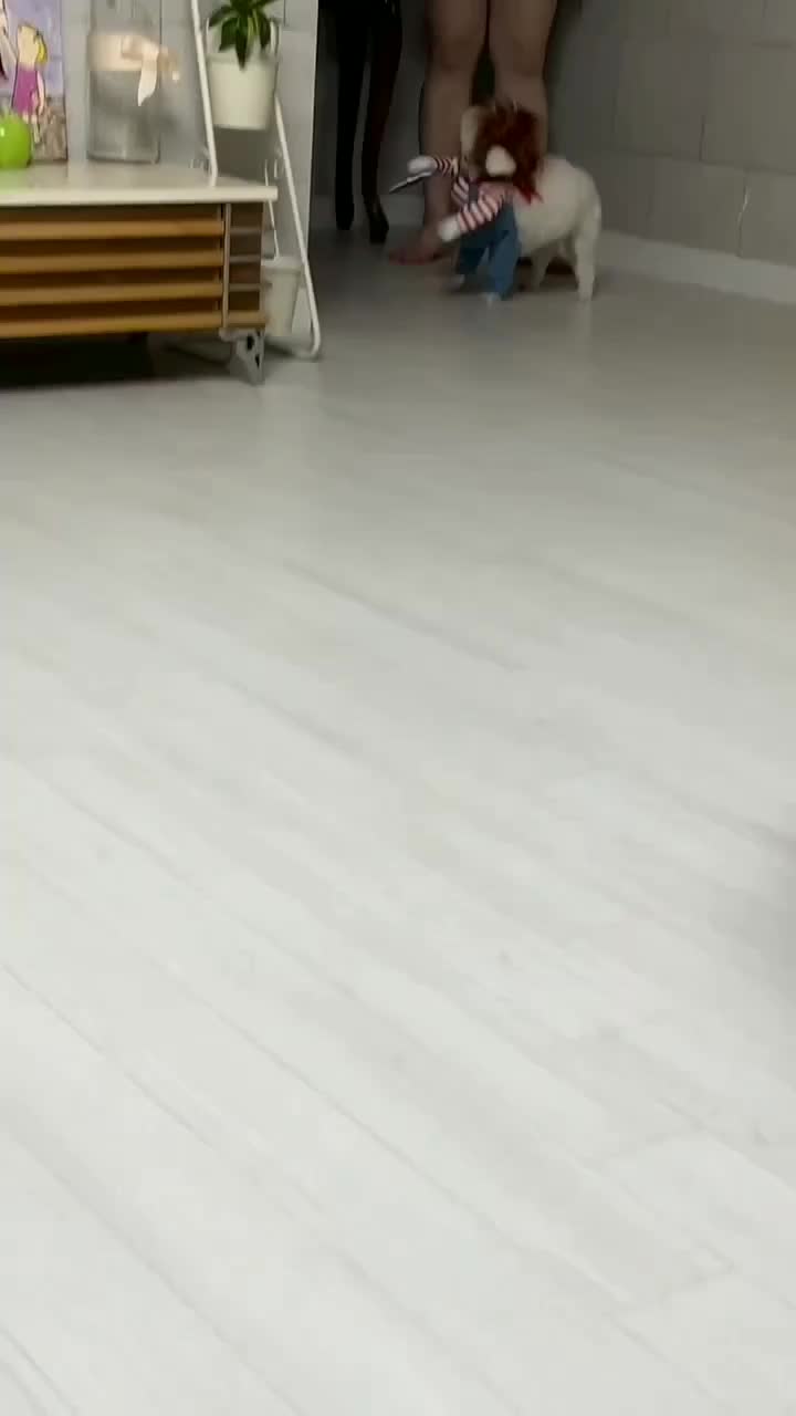 hahaha lucu syekali 