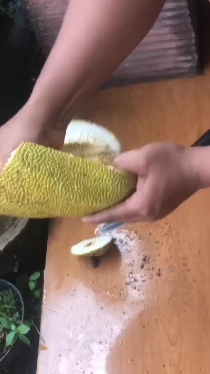 Sakit Banget Ga Ada Isinya