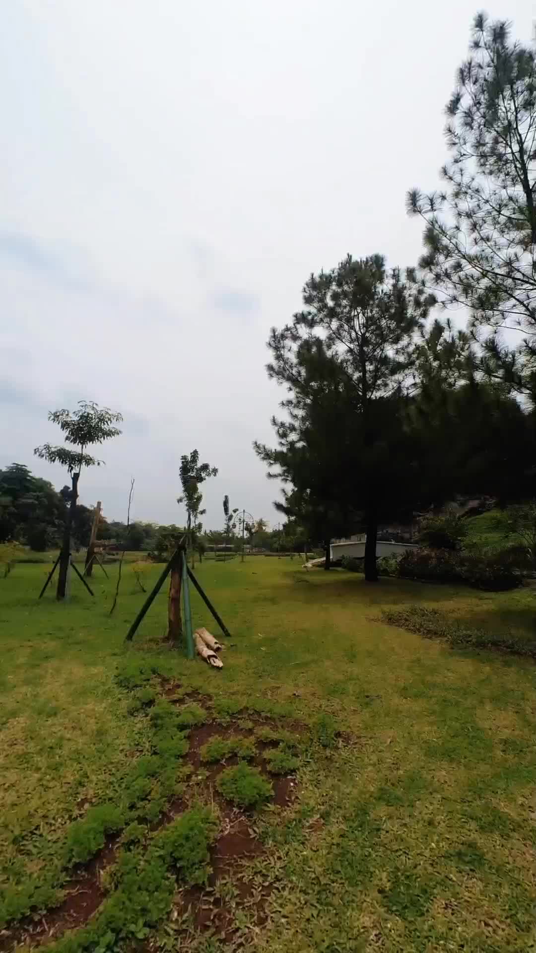 LEBIH BAIK SAKIT GIGI, DARI PADA LIHAT VIDEO INI 🤣