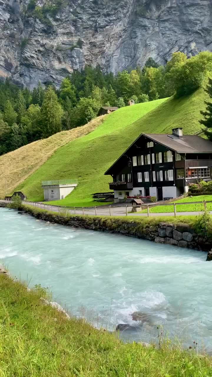 Swiss emang gak ada obat