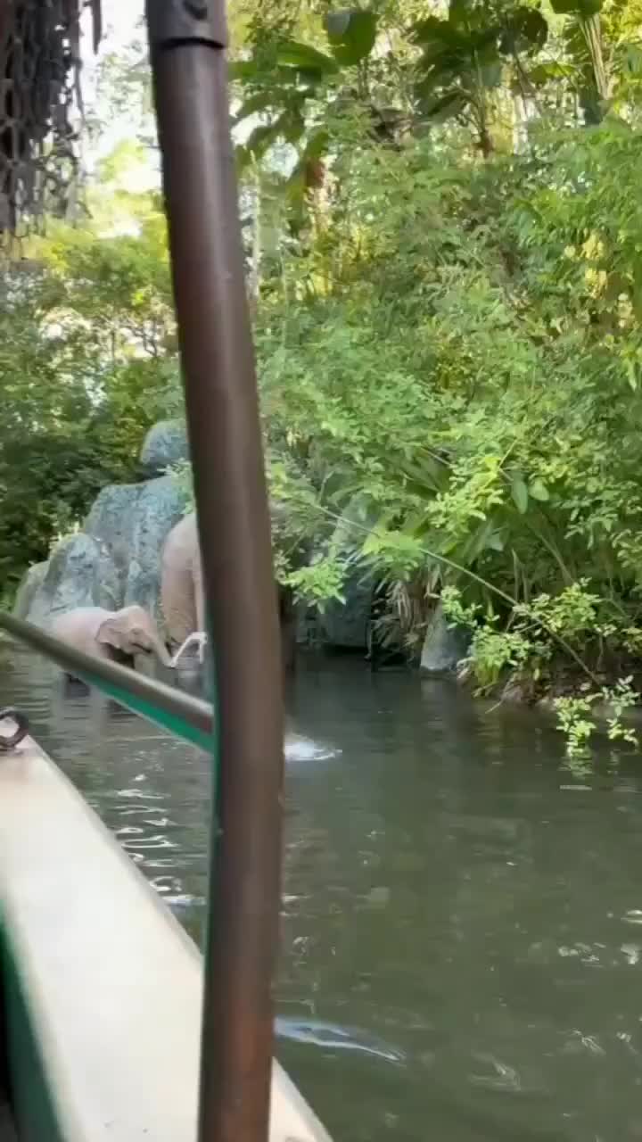 Gajah main air