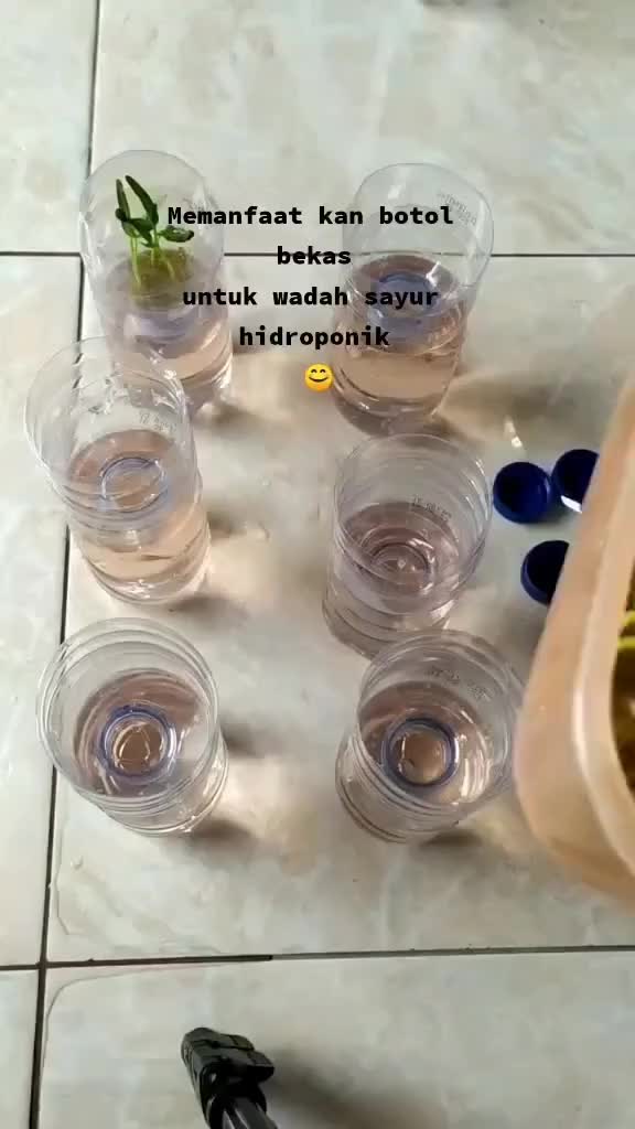 Tunggu 20 hari ke depan siap panen