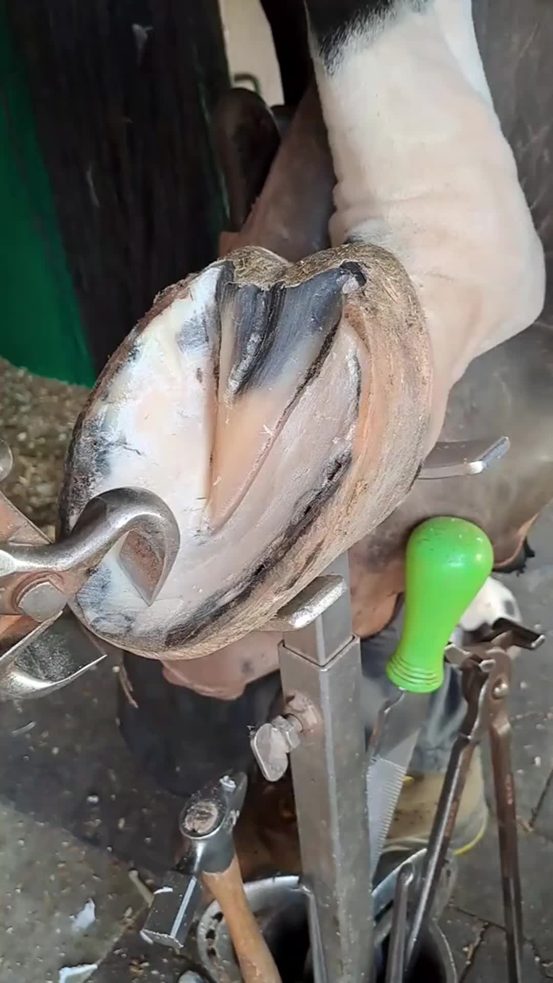 Satisfying