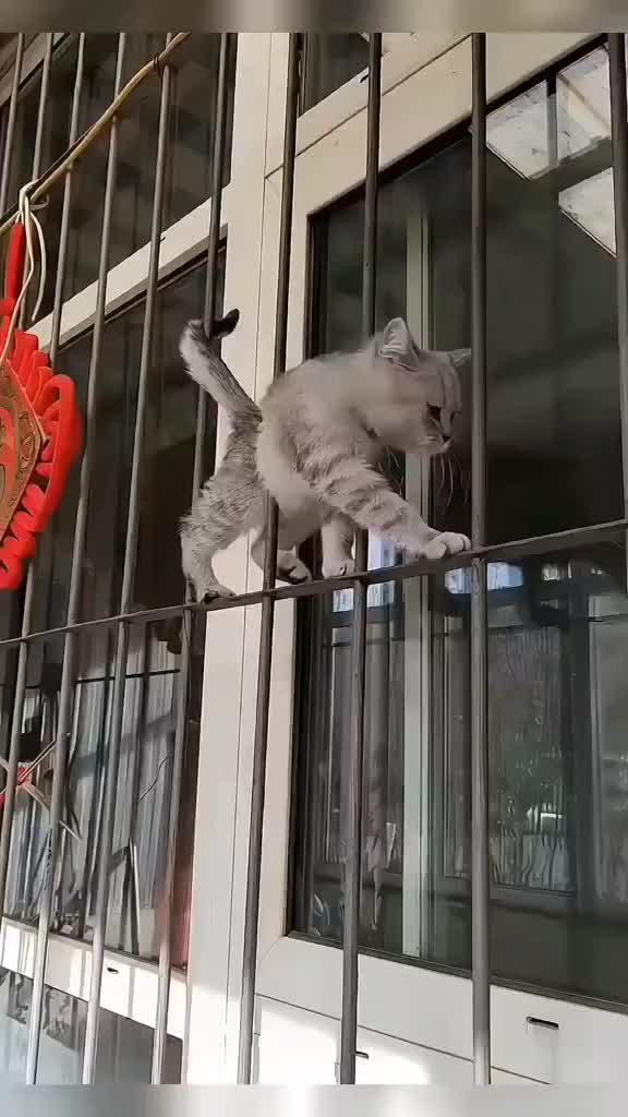 Lentur amat ci meng
