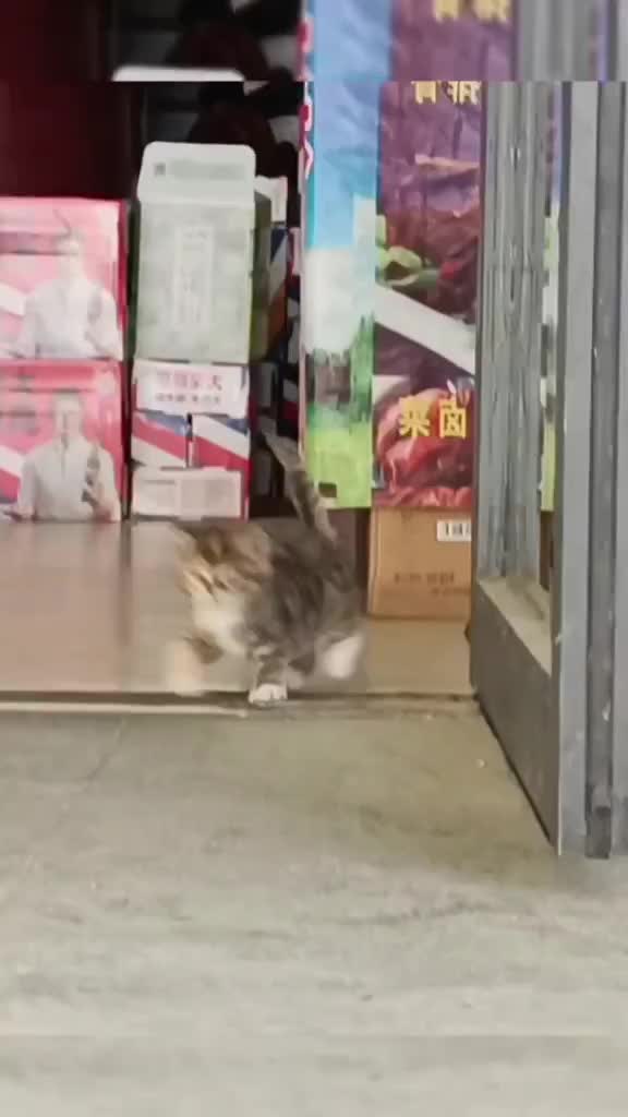 ooeee mana sini lo?