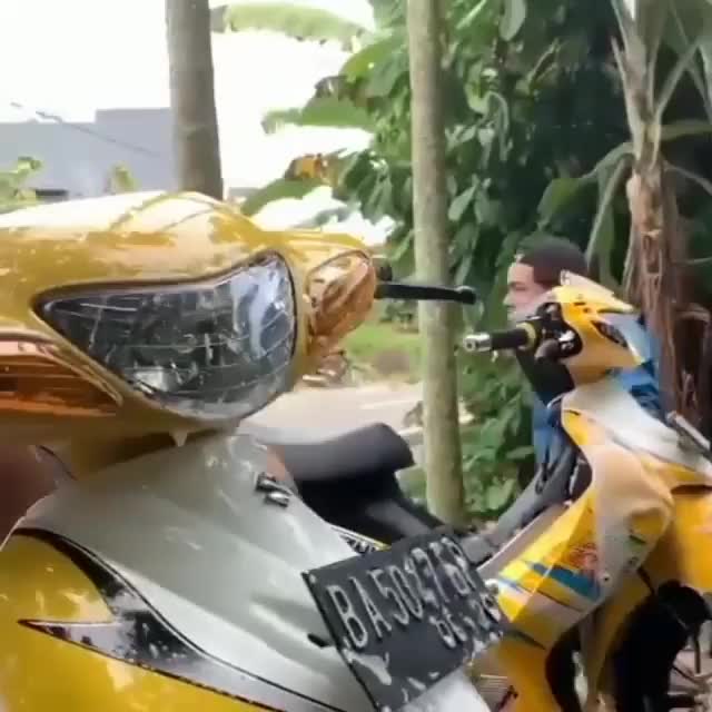 trio kuning