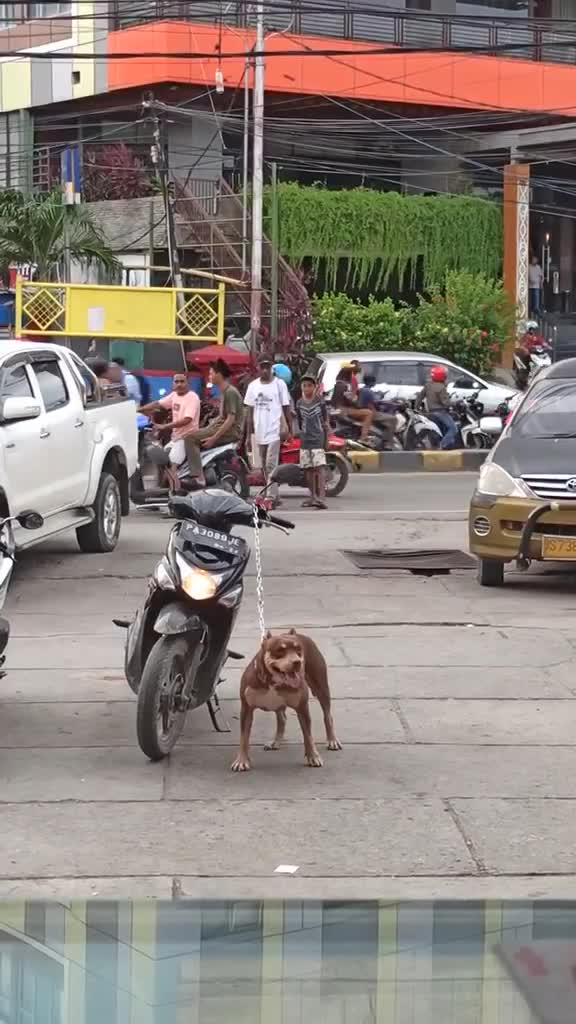 Ada Yang Berani Ambil?