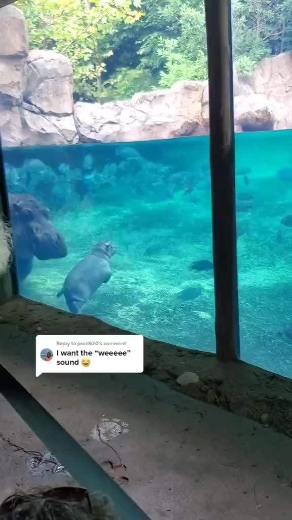 Lagi belajar renang sama mamak