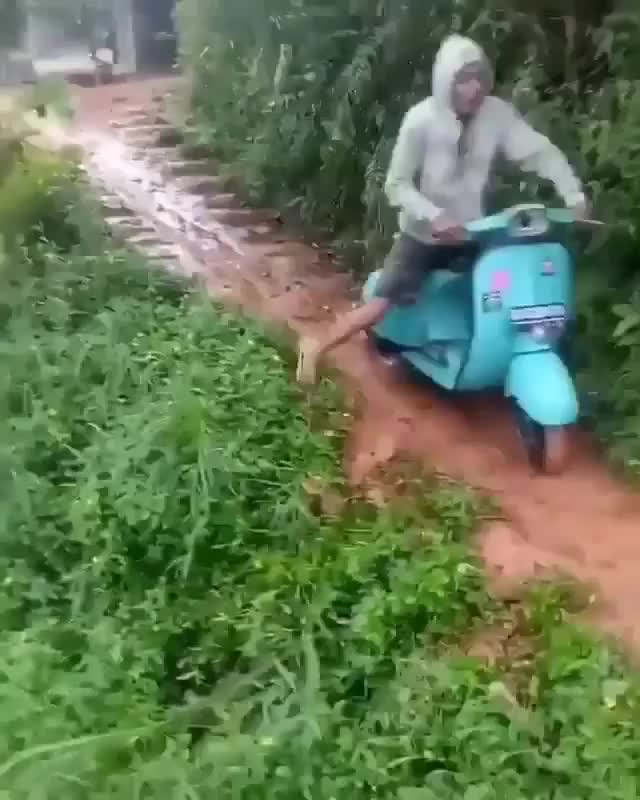 panik gak
