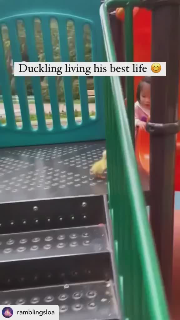 Lagi seneng senengnya main perosotann