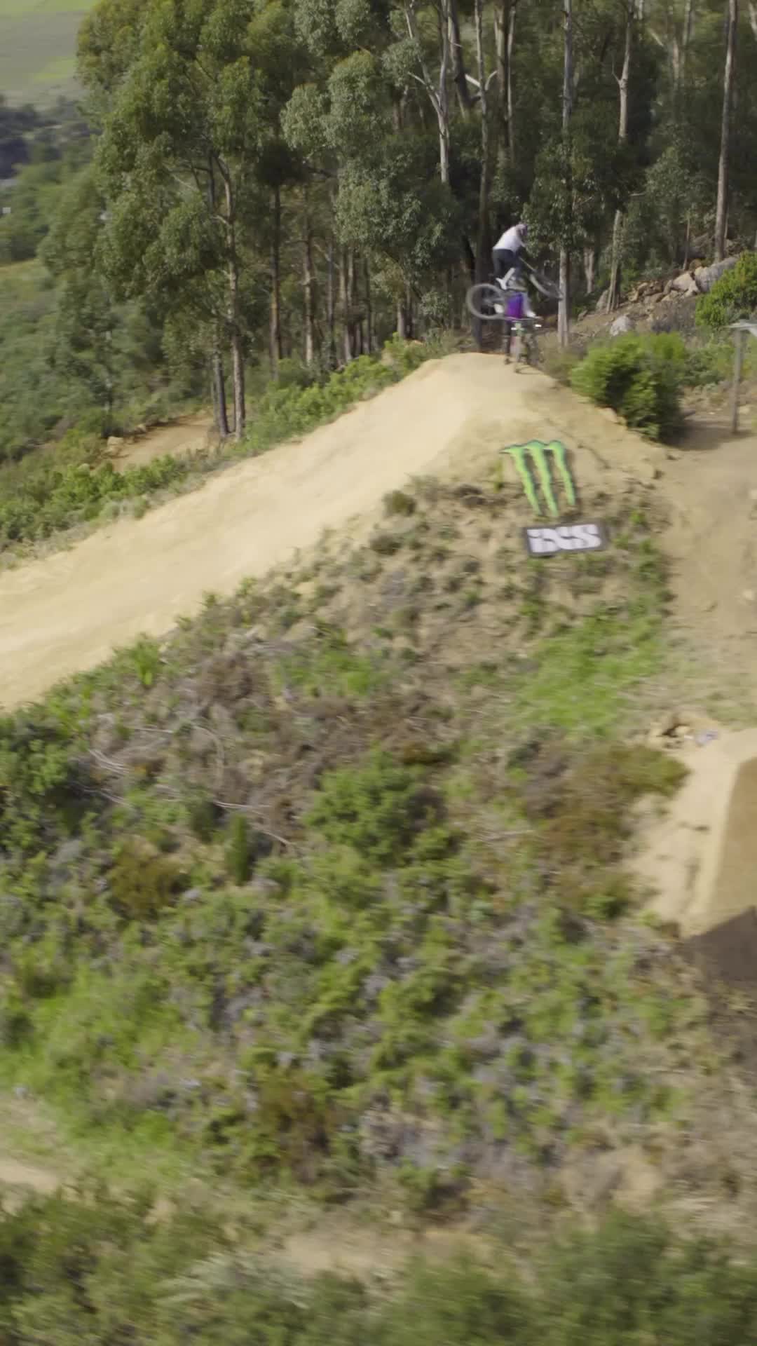 best run MTB