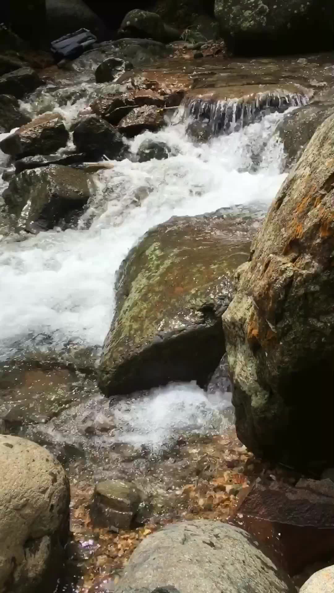 Seharian di Sentul bisa kemana aja yak?
