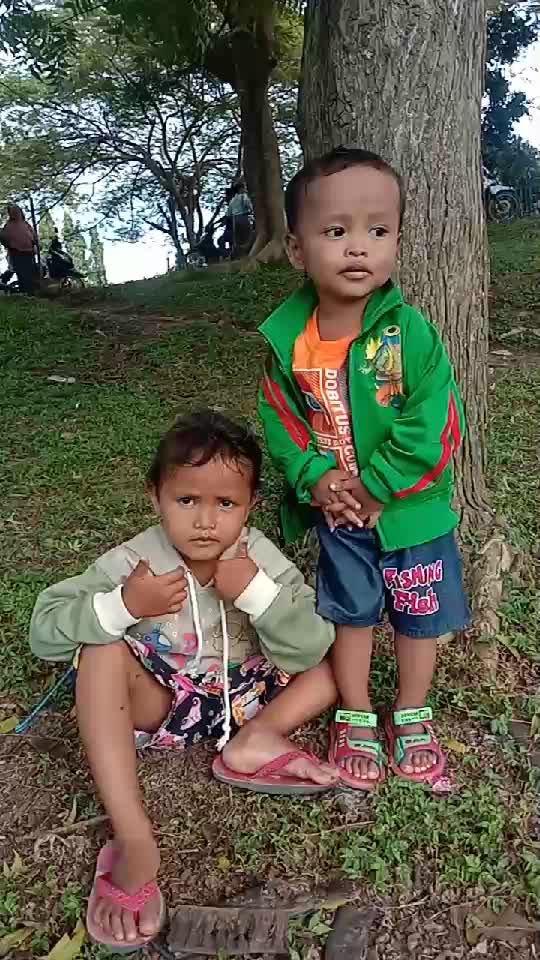 Di bawah pohon yang cerah