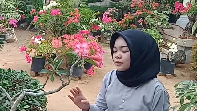 KDI 2021 [CELVYA AUDINA][LAMPUNG][16][SAYANG] #OnlineAuditionKDI2021