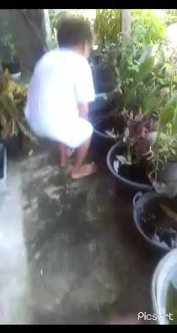 ketika anak dari kecil diajarin sayang binatang sama om di Bali.....bantu vote share n like