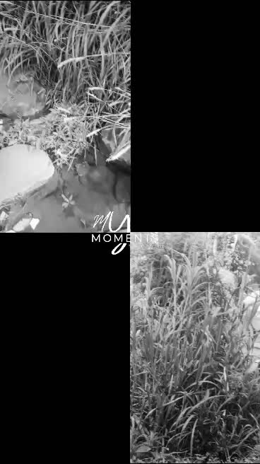 healing ditempat tersembunyi