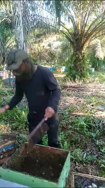 Madu Berkah Pandeglang 