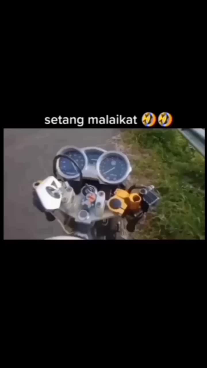 review stang malaikat gaes