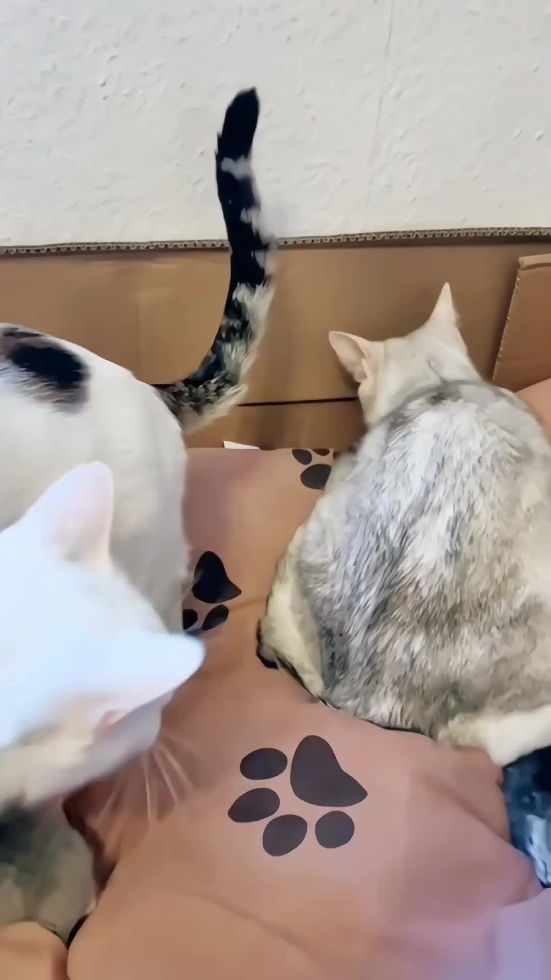 Happy family