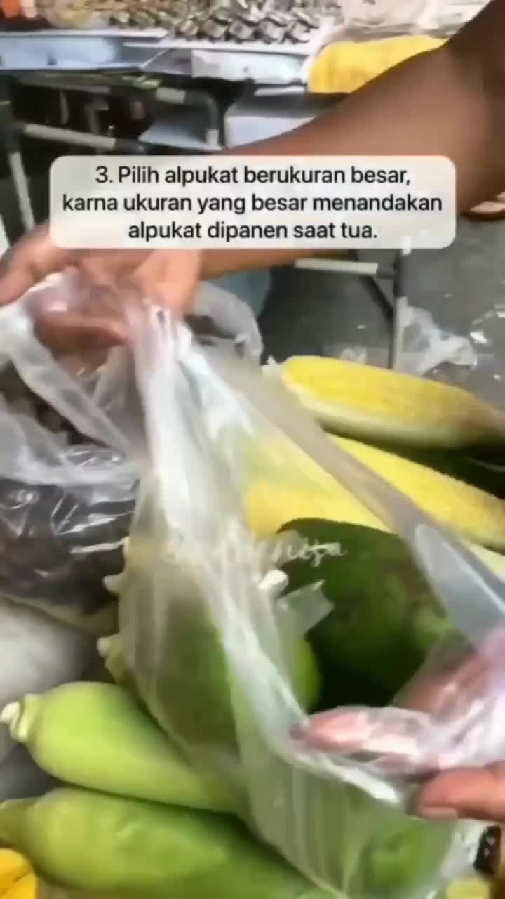 TIPS MEMILIH BUH ALPUKAT. Konsepnya sebenarnya alpukat yang pahit dan mempunyai serat yang banyak didalam dagingnya karna dipanen da
