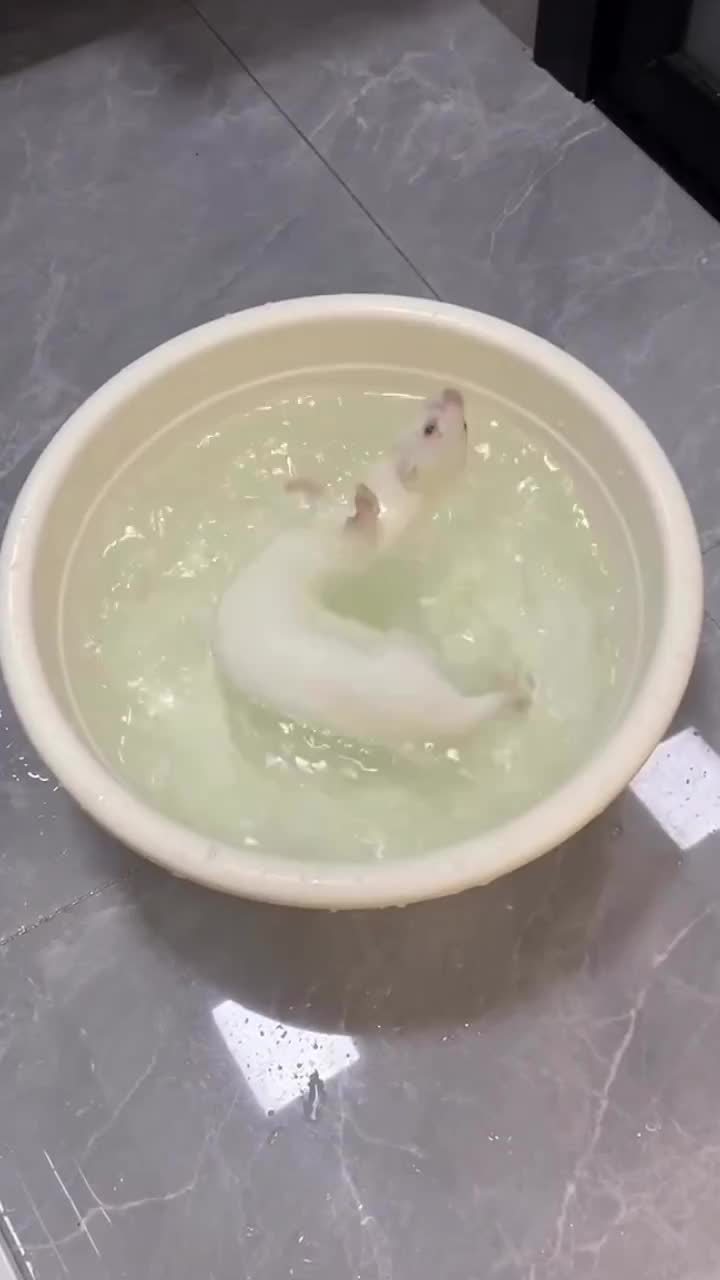 Senengnya main air