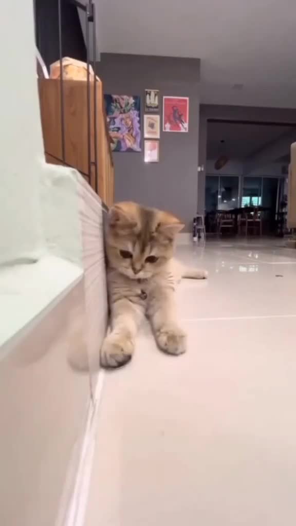 Peniru yang baik