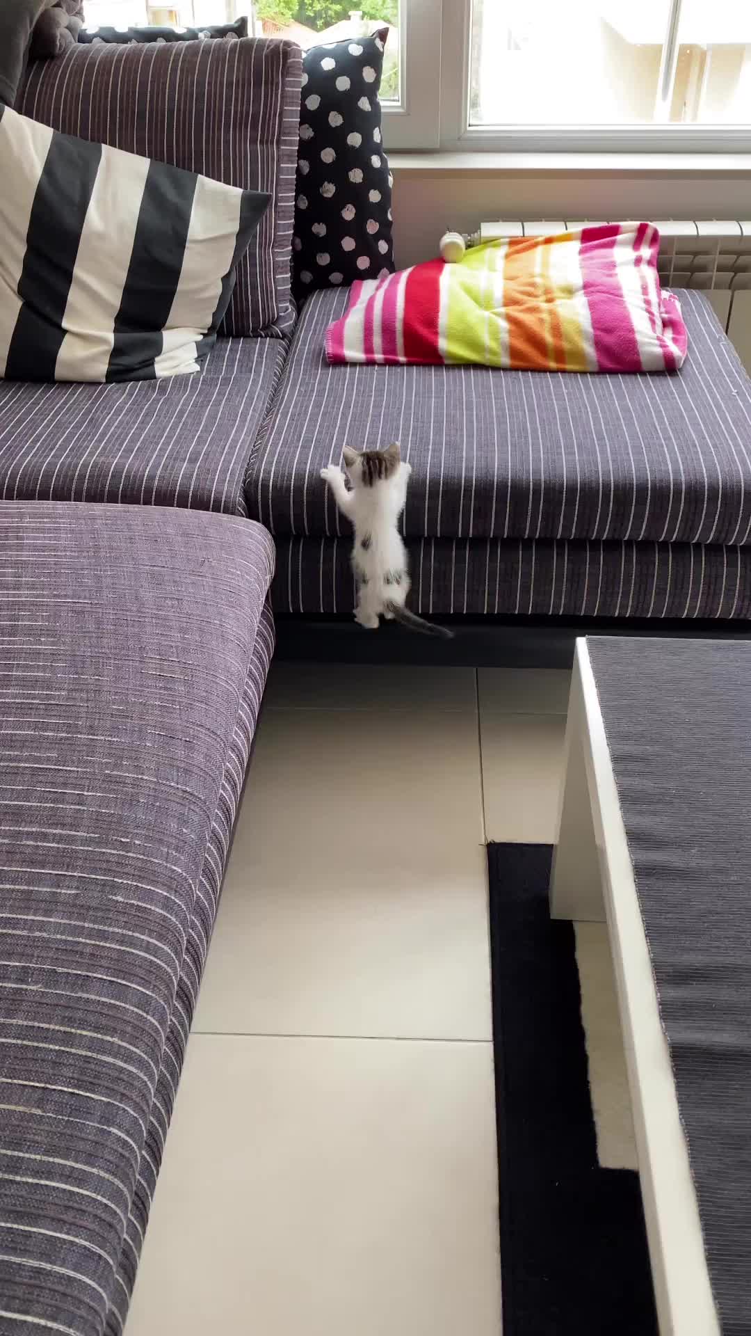 Adik belajar lompat