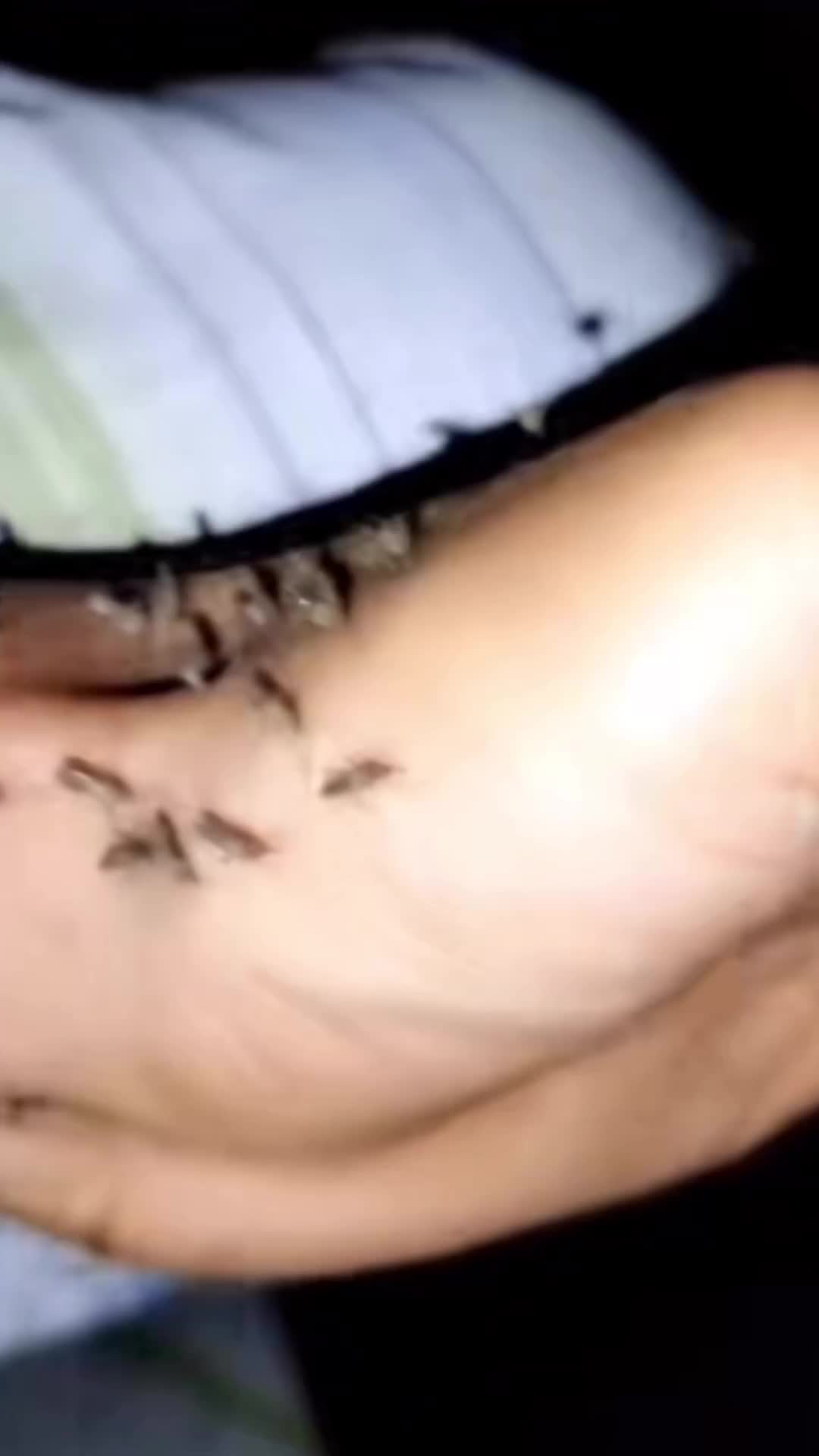 Terapi darah kotor. abis ini pasti bersih sampe kaga kesisa darahnya
